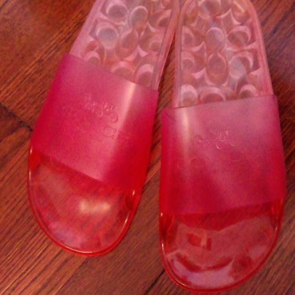 Coach transparent slides - Picture 3 of 7
